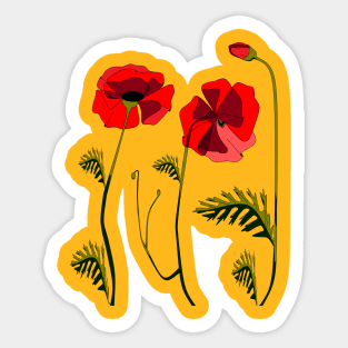 Blooming Poppies Sticker